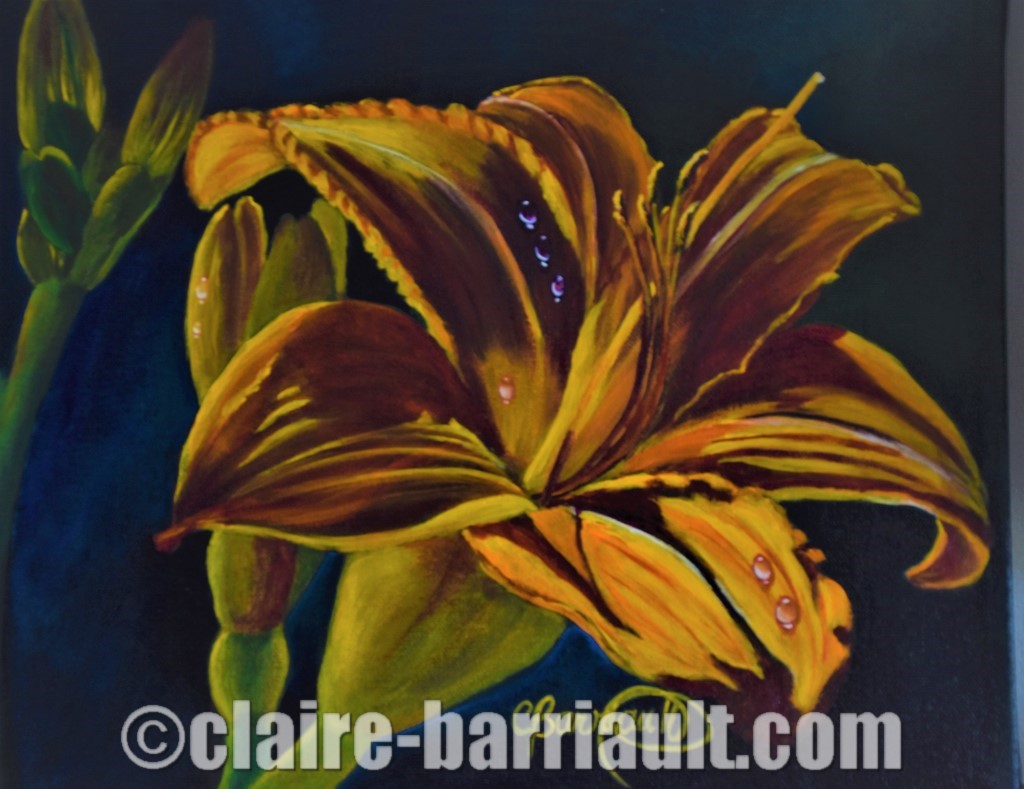 Splendeur de fin d'été