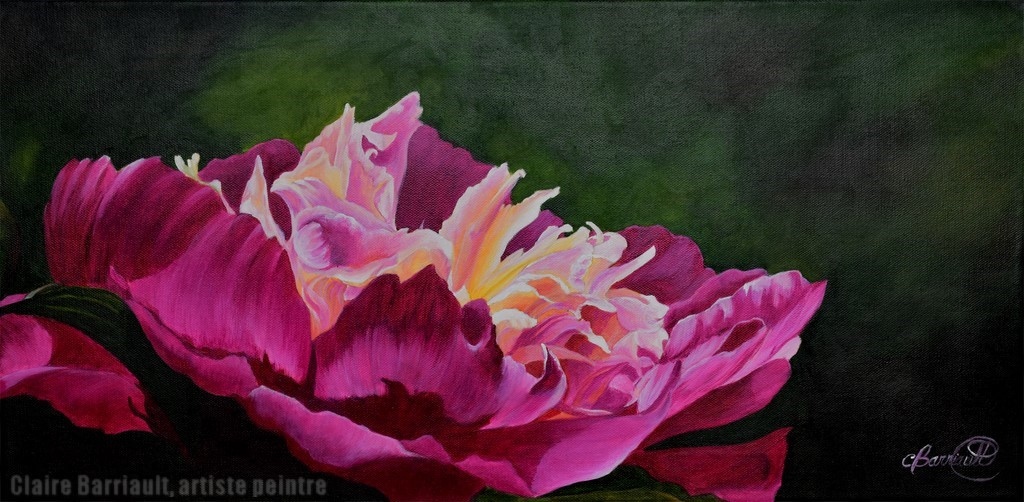 Pivoine "Bowl of Beauty"